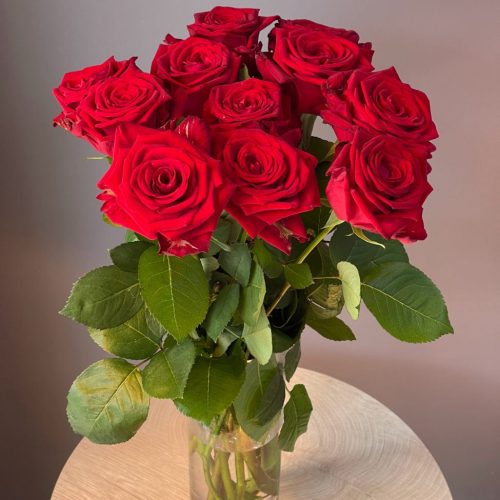 Роза красная